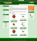 VEYTON CSS SEO Template i24-b52-SEO (grün)