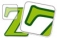 Magic Zoom Plus