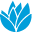 Klarna Payment Module